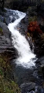 A serene waterfall in a lush forest setting with cascading water over rocks.