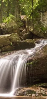 A serene forest waterfall with lush greenery and gentle flowing water.