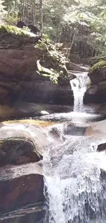 Tranquil waterfall in lush green forest setting.