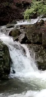 A serene forest waterfall with lush greenery and cascading water.