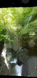 A secluded waterfall surrounded by lush, vibrant green forest foliage.