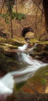 Serene waterfall flows under a forest bridge.