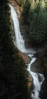 Waterfall cascading through a lush green forest, creating a tranquil scene.