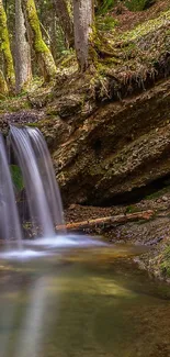 Serene forest scene with waterfall and lush greenery.