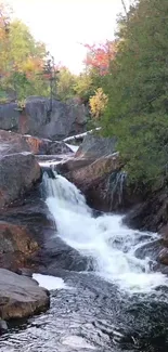 Serene forest waterfall cascading over rocks.