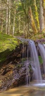 Serene waterfall in lush green forest wallpaper.