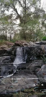 Tranquil forest waterfall with rocks and greenery.