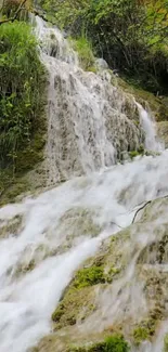 Serene waterfall cascading over mossy rocks in a lush green forest.