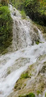 Serene waterfall in lush green forest setting.