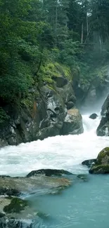 Peaceful waterfall scene with lush green forest and flowing white water.