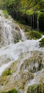 Serene forest waterfall with lush greenery.