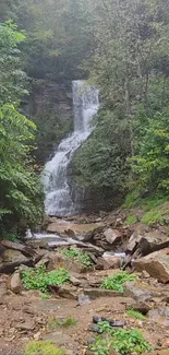 Serene waterfall in lush green forest - mobile wallpaper.