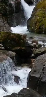 A calming waterfall in a forest with moss-covered rocks and flowing water.