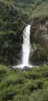 Mobile wallpaper of a serene forest waterfall scene.