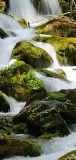 Serene forest waterfall with moss-covered rocks cascading water.