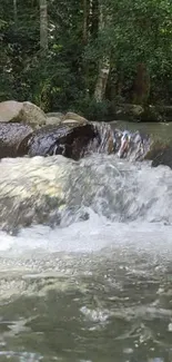 Serene waterfall in a lush green forest with flowing water.