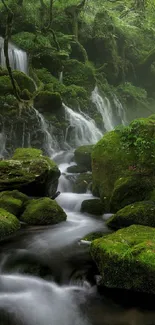 Serene waterfall in a lush green forest.