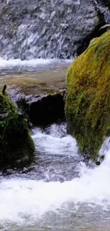 Waterfall with mossy rocks in a forest setting.