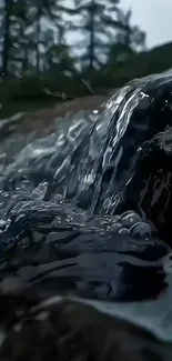 Serene forest waterfall scene with flowing water