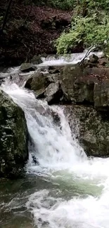 Cascading waterfall in a forest stream mobile wallpaper.