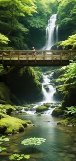 Serene forest with a cascading waterfall and a wooden bridge.