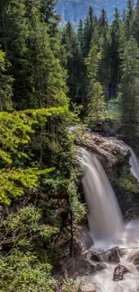 A serene waterfall in a lush forest setting, perfect for a calming mobile wallpaper.