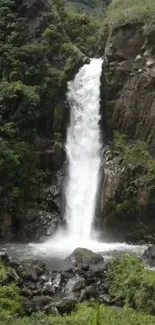 Peaceful forest waterfall cascading amidst green cliffs.