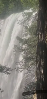 Waterfall amidst lush forest in tranquil setting.