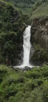 Serene waterfall in a lush green forest setting