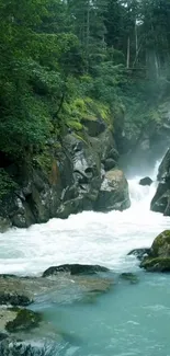 Forest waterfall cascades through lush greenery creating a serene atmosphere.