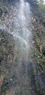 Serene forest waterfall with cascading water and lush greenery.