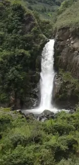 Waterfall cascading in a lush green forest setting.