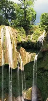 Serene forest waterfall with lush greenery and cascading water.