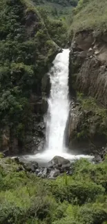 A beautiful waterfall in a forest surrounded by greenery.