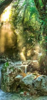 Sunlit forest waterfall with lush green foliage.