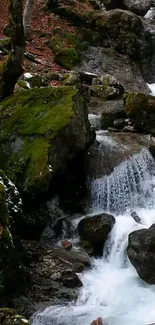 Tranquil forest waterfall with mossy rocks and cascading water.