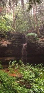 Forest waterfall with lush green trees creating a serene and tranquil scene.