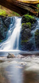 Peaceful forest waterfall with lush greenery and rocks.