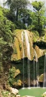 Lush forest waterfall with serene pool and greenery.