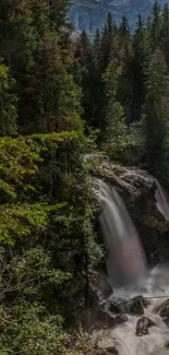 Serene waterfall amidst lush green forest.