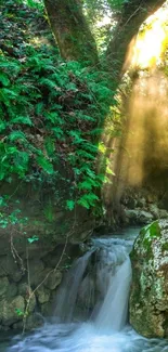 Serene forest waterfall with sunlight and lush greenery.