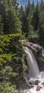 Serene waterfall flowing through lush green forest in stunning mobile wallpaper.