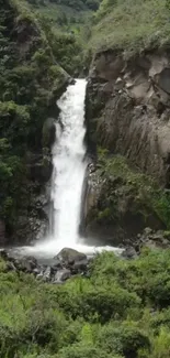 A stunning forest waterfall surrounded by lush greenery