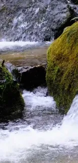 Tranquil waterfall cascading in a forest setting with lush greenery.