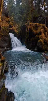 Serene waterfall in a lush forest setting with moss-covered rocks.