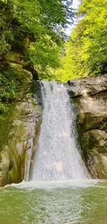 Serene waterfall in a lush green forest.