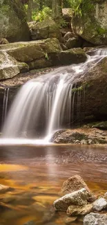 Serene waterfall in a lush forest setting with rocky stream.