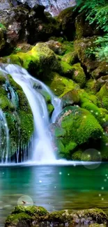 A serene waterfall in a lush green forest, perfect for a calming mobile wallpaper.