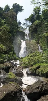 Lush green forest wallpaper with waterfall and rocks.