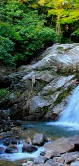 Serene waterfall in a lush green forest landscape.